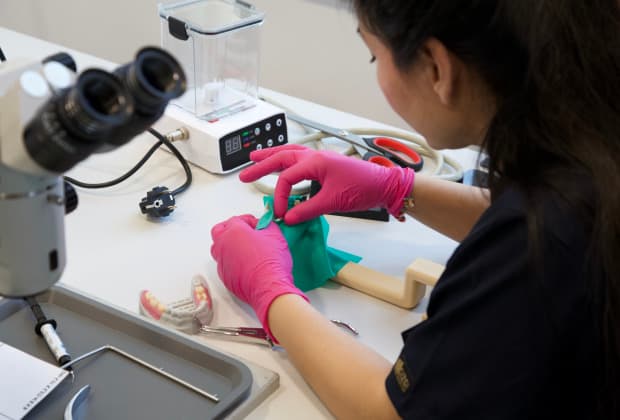 Practical work in modular training with Dr. Kosturkov