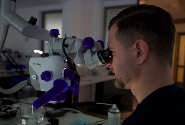 Practical work in modular training with Dr. Kosturkov